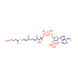 4-hydroxybutyryl-coenzyme A